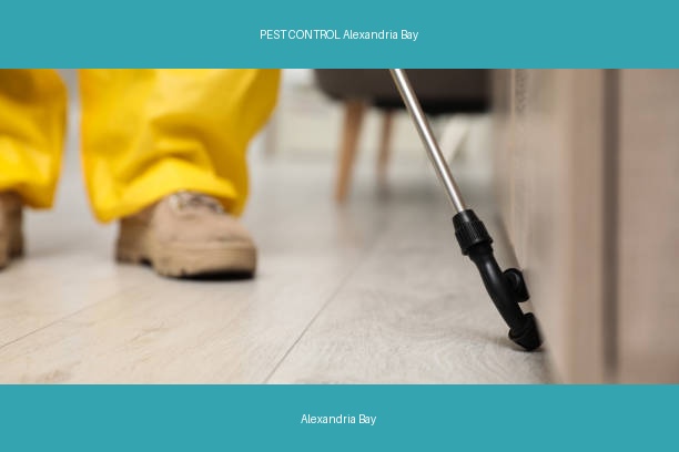 PEST CONTROL Alexandria Bay